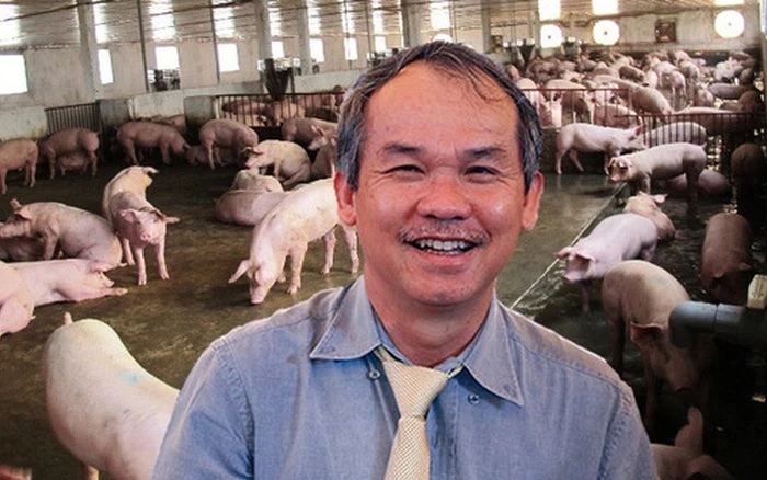 “Elect” Duc revealed an exclusive way of raising pigs that no one has and confidently promised not to let the company fall for the second time