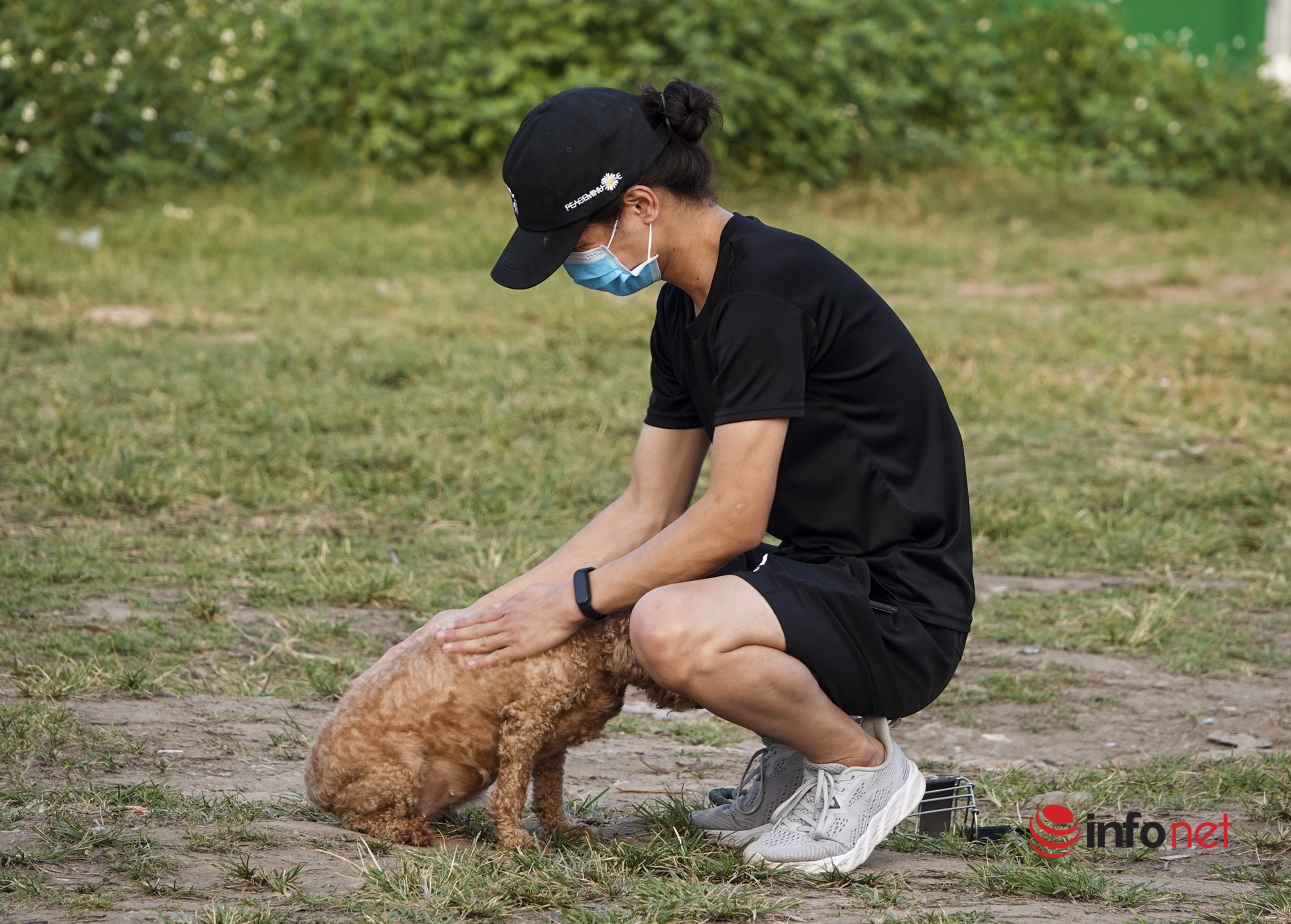 Hà Nội: Chó không xích, không rọ mõm vẫn chạy đầy nơi công cộng, phớt lờ lệnh bắt chó thả rông