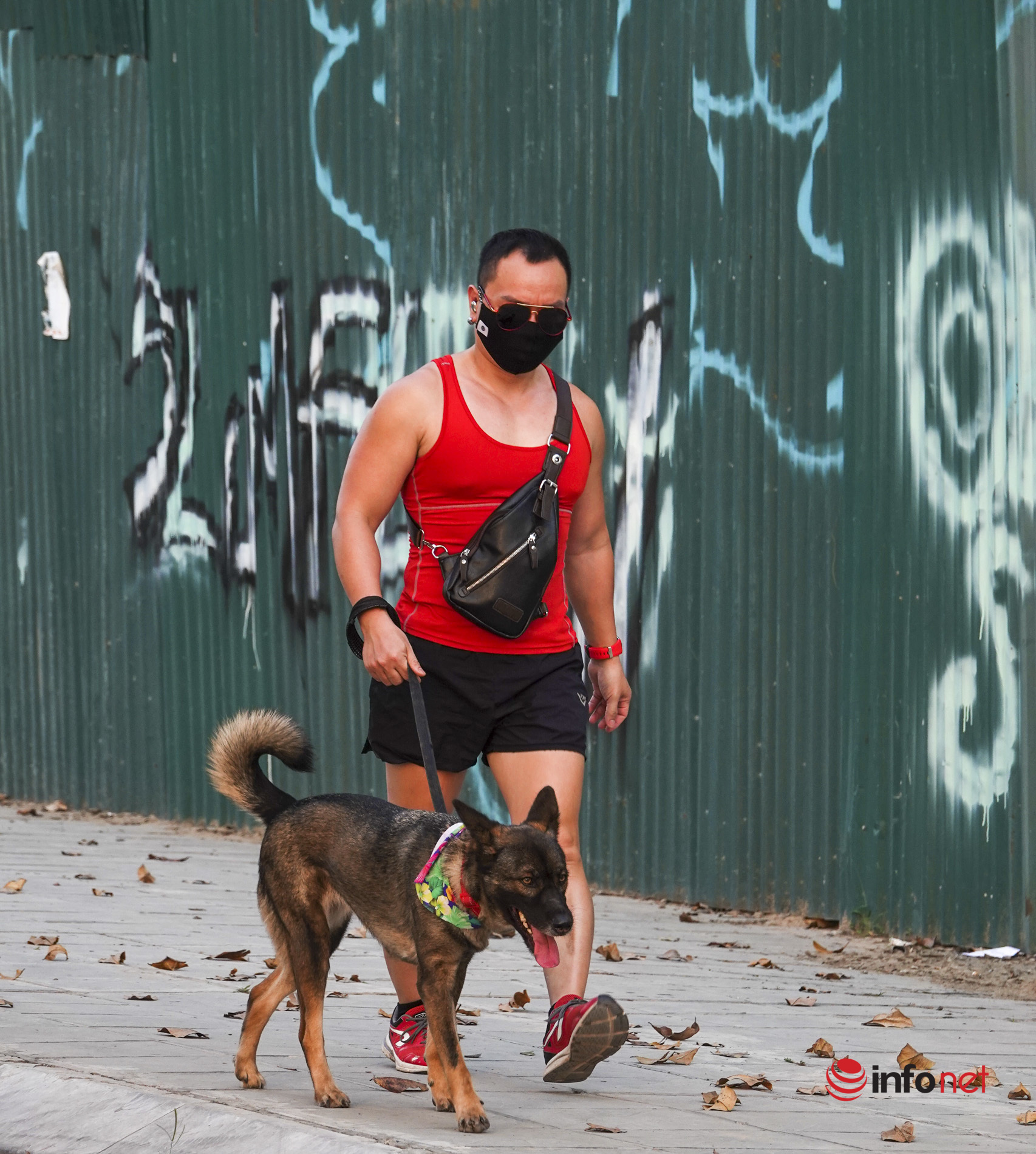 Hanoi: Dogs without leashes and muzzles still run in public places, ignoring orders to let them loose