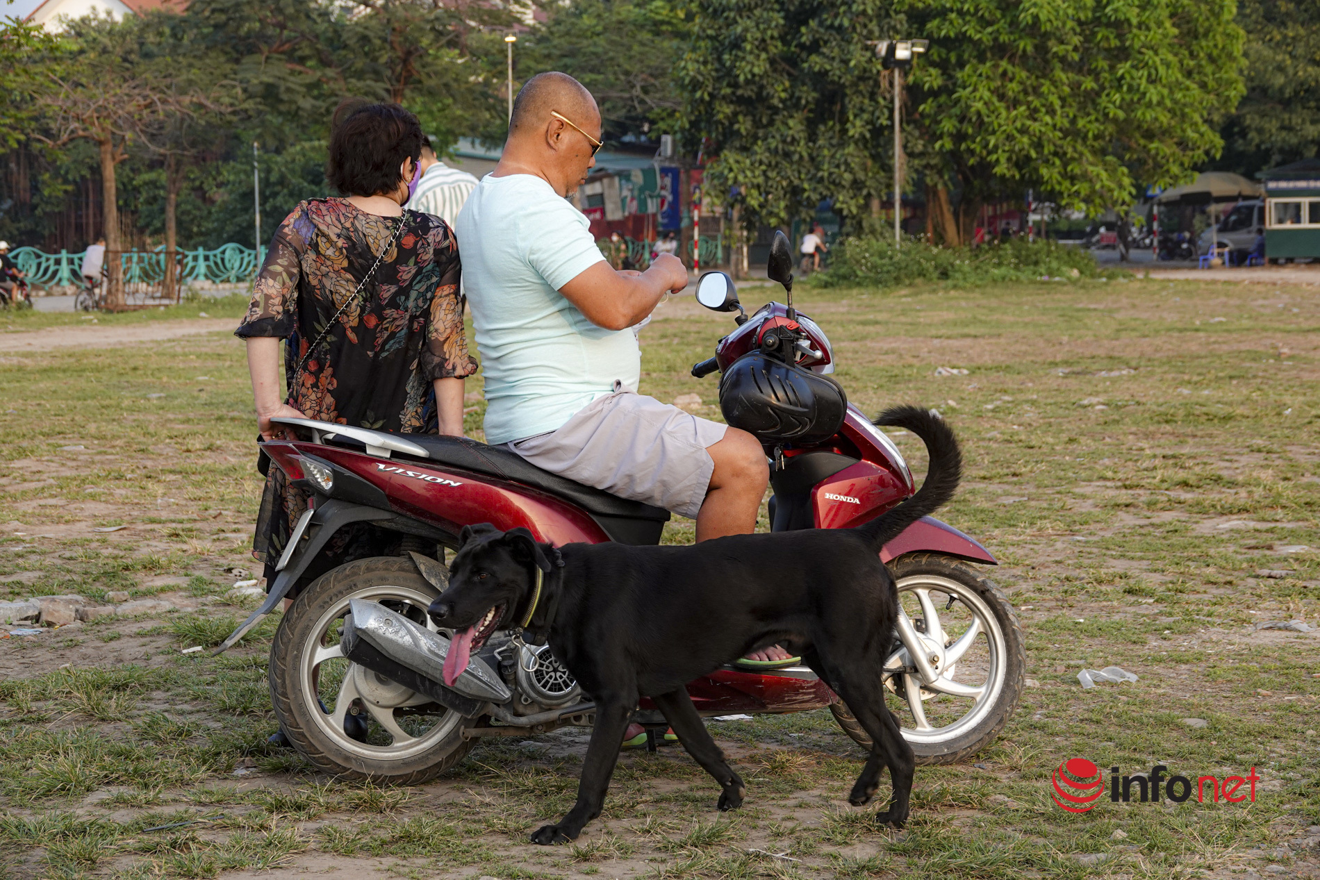 Hanoi: Dogs without leashes and muzzles still run in public places, ignoring orders to let them loose