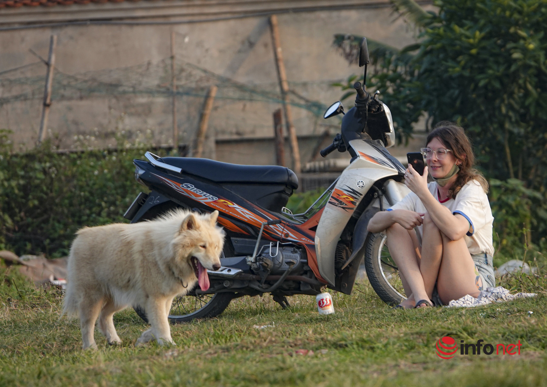 Hà Nội: Chó không xích, không rọ mõm vẫn chạy đầy nơi công cộng, phớt lờ lệnh bắt cho thả rông