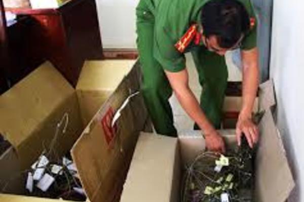 Stealing 2 pots of mutant orchids was sentenced to 7 years in prison: How is the valuation of the new evidence satisfactory?
