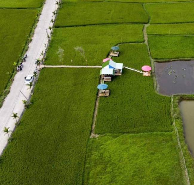 The boy who opened a cafe in the middle of the rice field was checked in the 'hottest' in the world: Unemployment has been a long cherished thing