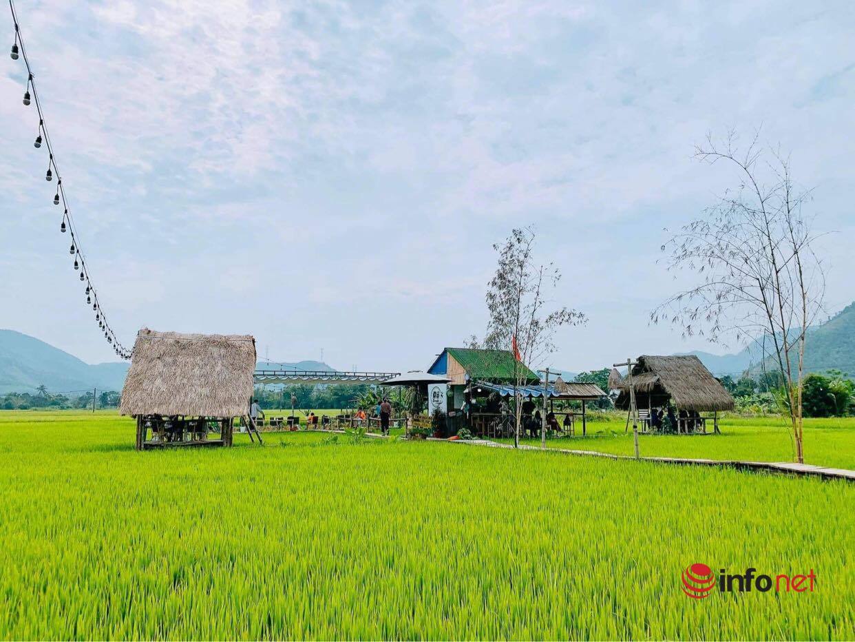 Leaving the city to return to his hometown, the boy opened a cafe in the middle of the field