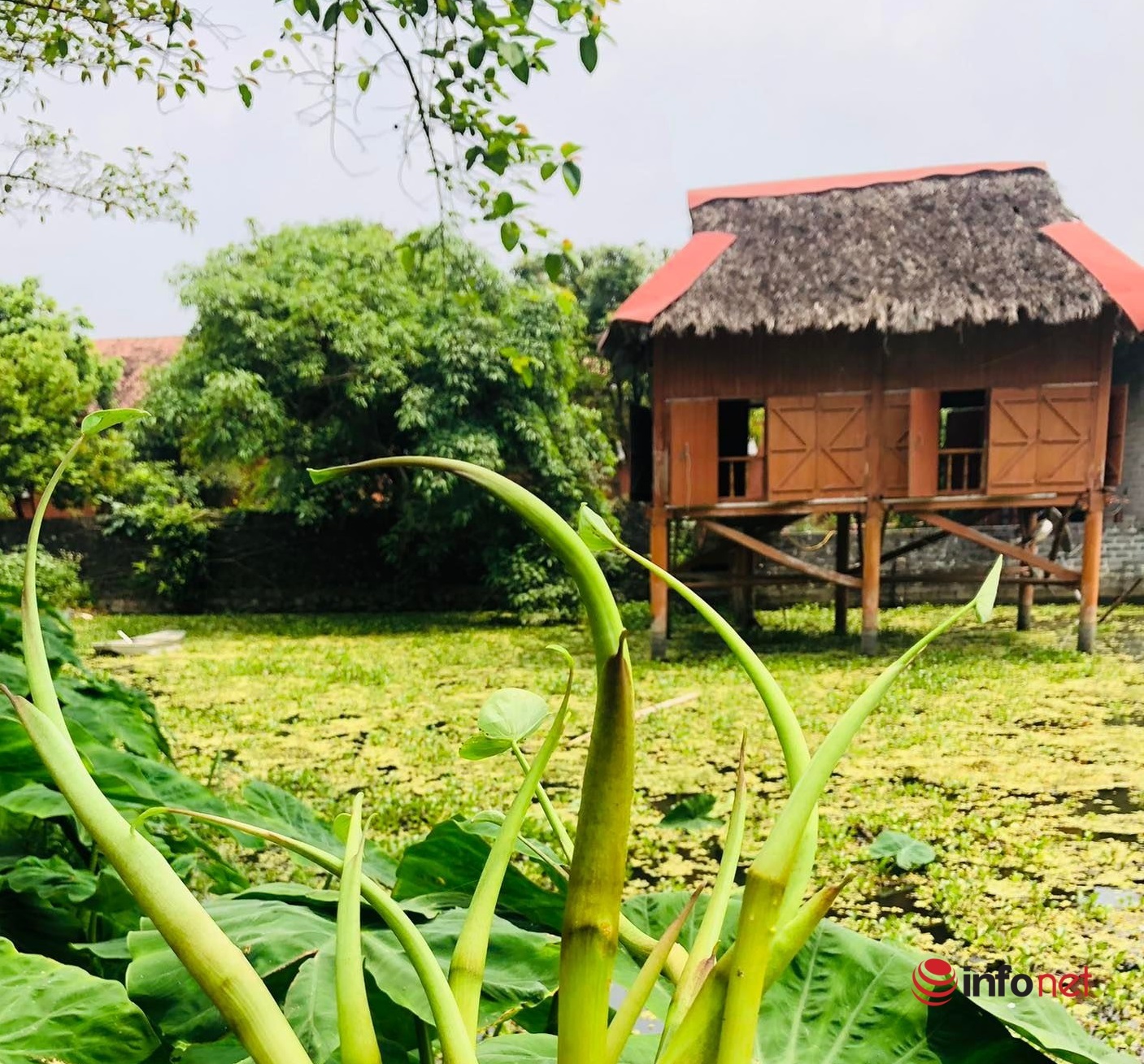 20 years old failed to start a business, owed 3 billion in debt, the young man shook off his shirt and established an ecological village, raising goats, sheep, snails, growing clean vegetables, opening a homestay that always 