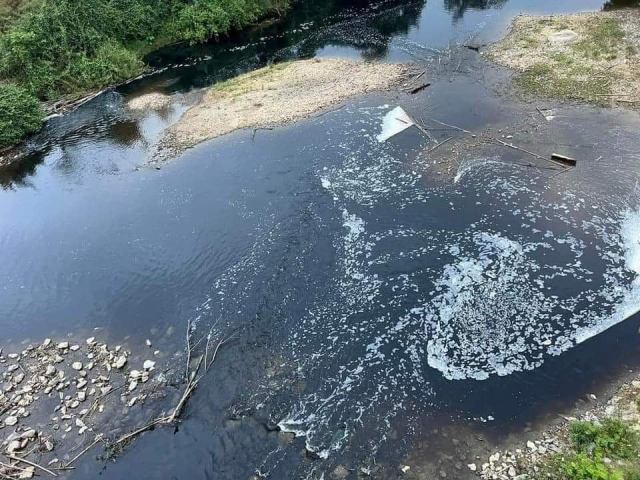 Thanh Hoa: A business was fined VND 50 million for discharging waste into the river to kill fish