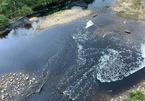 Thanh Hóa: Một doanh nghiệp bị phạt 50 triệu đồng vì xả thải ra sông làm cá chết bốc mùi