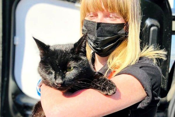 One-eyed cat that has been missing for 5 years suddenly appeared on an oil rig at sea