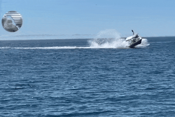 Cá voi húc tung thuyền chở khách bay lên không trung