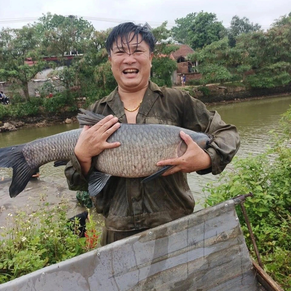 'Phiên chợ' lạ bán cá không cần cân ở Bắc Giang