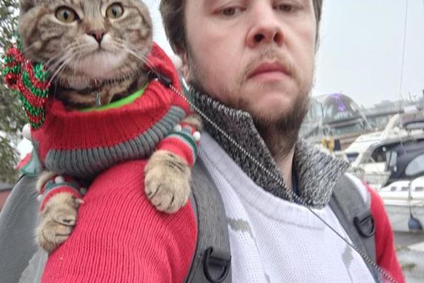 The daring cat travels the world with the owner who is suddenly famous throughout social networks