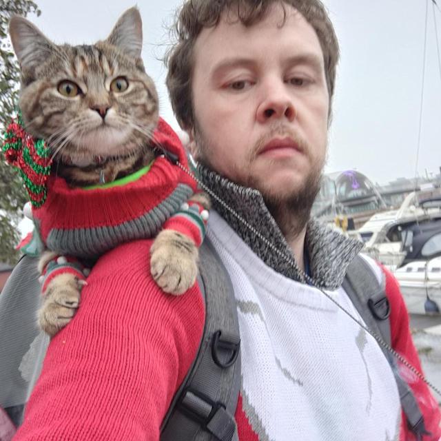 The daring cat travels the world with the owner who is suddenly famous throughout social networks