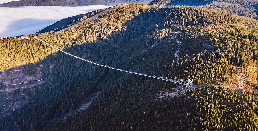 Mục sở thị cây cầu treo dài nhất thế giới bắc qua thung lũng sâu