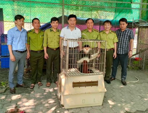 Endangered and rare doucs were rescued and handed over to Cuc Phuong National Park