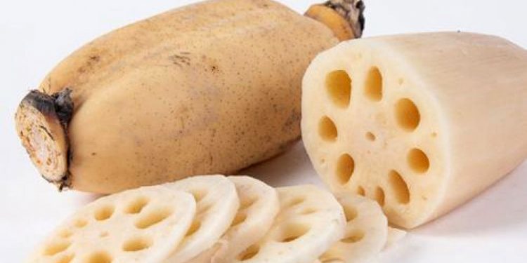 Lotus root, a wild food with many unexpected effects
