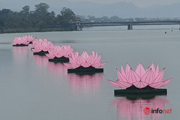 Bảy bông sen khổng lồ nổi trên sông Hương, báo hiệu mùa Phật đản ở Cố đô Huế