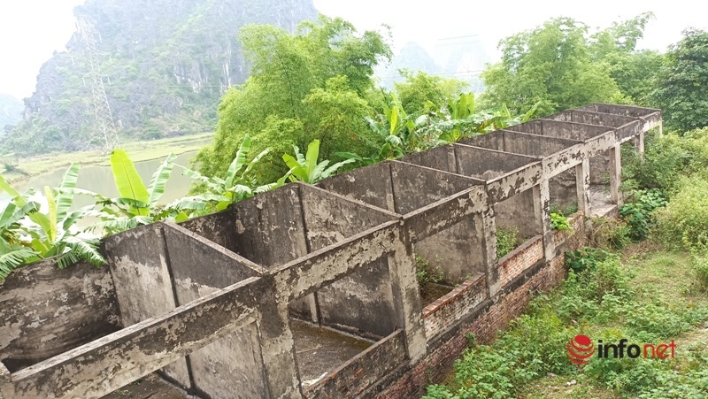 Hundreds of households give up their land for a 5,000 billion cement factory, 15 years later, the scene is terrifyingly desolate