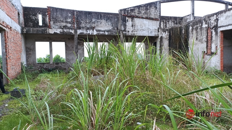 Hundreds of households give up their land for a 5,000 billion cement factory, 15 years later, the scene is terrifyingly desolate