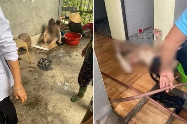 Terrible: The suspect that the husband poured gasoline on the bedroom and injured 3 people in Hai Duong