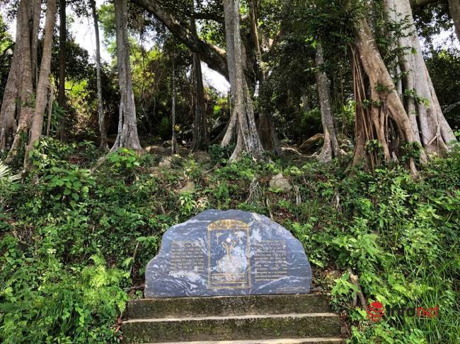 Mysterious thousand-year-old banyan tree on Son Tra peninsula