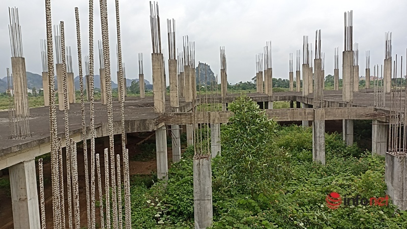 The project of the university with trillions of billions invested in “covering mats” in Ninh Binh