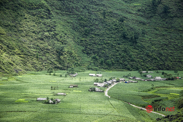 Immerse yourself in the mesmerizing beauty of Ha Giang rocky plateau