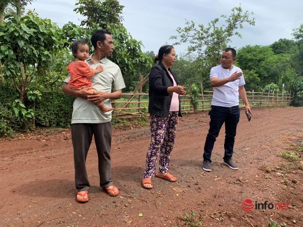After land fever in the Central Highlands hot spot: A series of land owners fell back because they lost their residential land despite trading in garden land