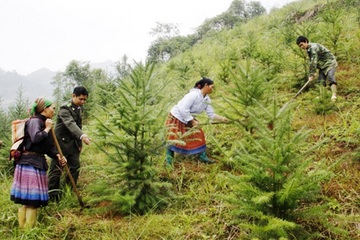Điện Biên: Triển khai giao đất, giao rừng cho người dân để bảo vệ và phát triển rừng bền vững
