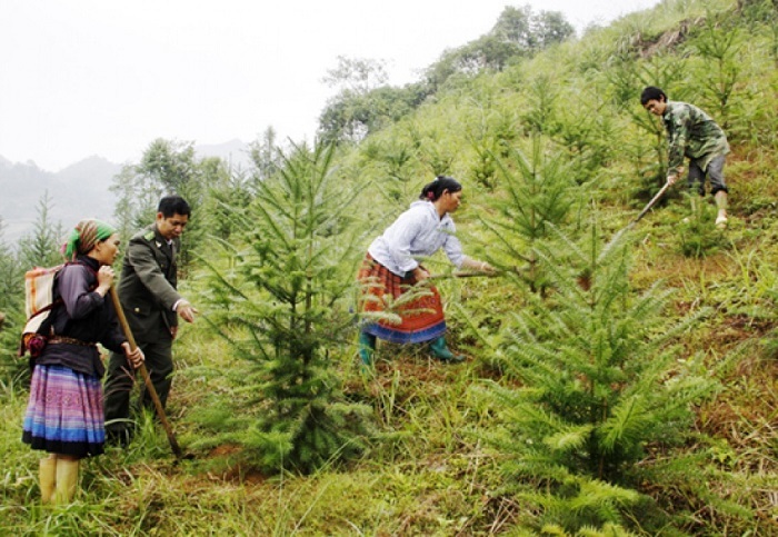 Điện Biên: Triển khai giao đất, giao rừng cho người dân để bảo vệ và phát triển rừng bền vững
