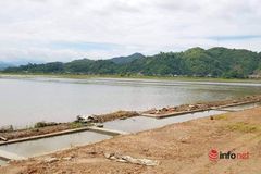 Đắk Lắk: Mưa 2 ngày liên tục, hơn 650ha cây trồng ở một huyện bị ngập nước