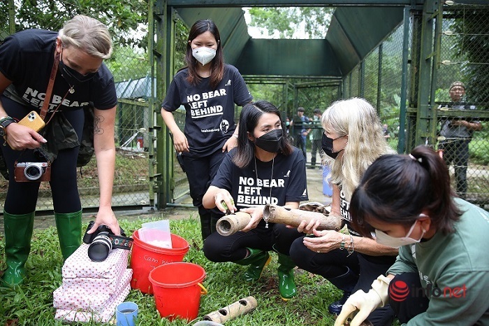 Tăng Thanh Hà cùng dàn sao quốc tế chăm sóc gấu, nâng cao nhận thức bảo vệ môi trường tự nhiên