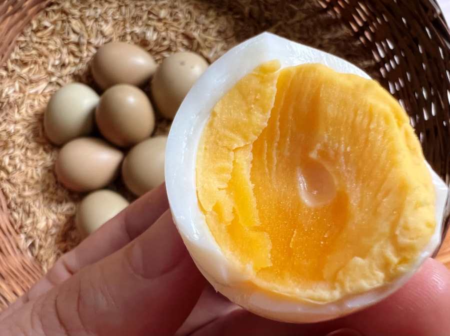 5-6 times more expensive than chicken eggs, this kind of egg is likened to a 'ginseng' that is sought after by housewives