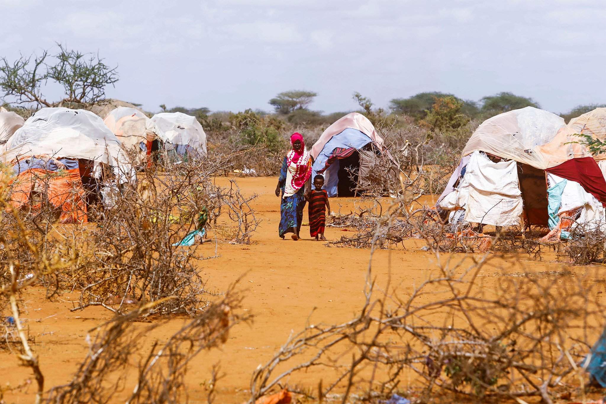 Trẻ em ở Somalia có nguy cơ chết đói do hạn hán