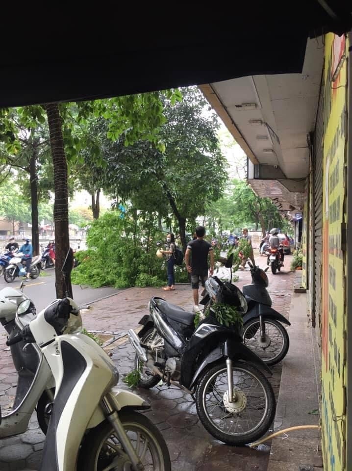 Hú hồn cây xanh trên đường Hà Nội bỗng nhiên bật gốc đổ đè vào 3 người đi xe máy