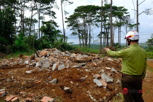 Đắk Nông: Hàng trăm trường hợp lấn chiếm đất rừng thông sẽ bị cưỡng chế