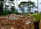 Đắk Nông: Hàng trăm trường hợp lấn chiếm đất rừng thông sẽ bị cưỡng chế