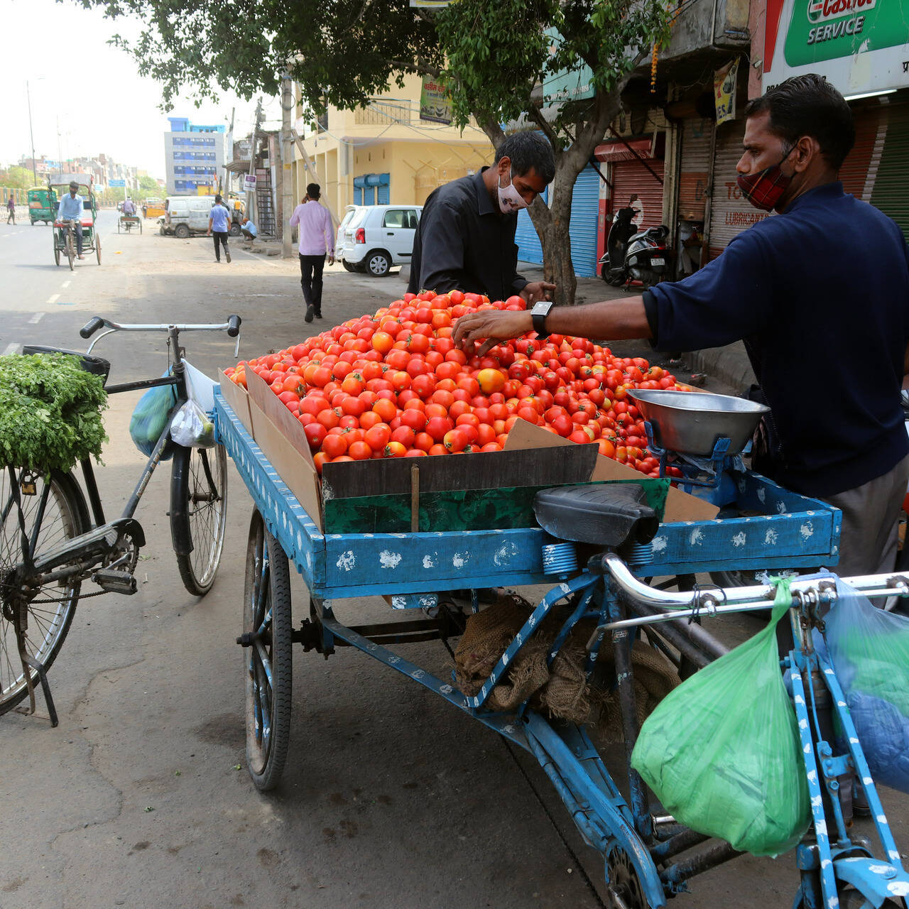 Khi cà chua có thể khiến chính trường Ấn Độ 'dậy sóng'