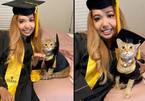 Mèo tích cực tham gia lớp học qua zoom được dự lễ tốt nghiệp đại học