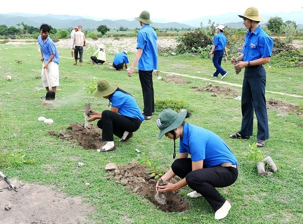 Urban greening in Binh Thuan: There are pioneering enterprises accompanying them