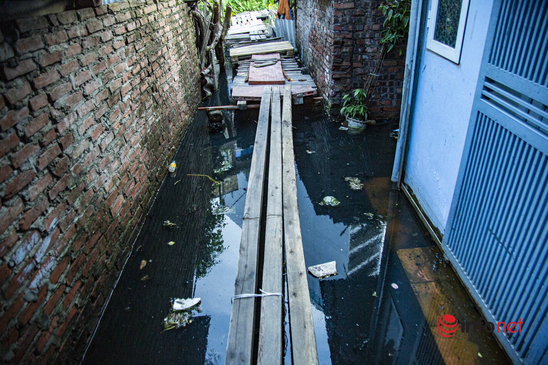 Hàng trăm hộ dân sống giữa Thủ đô vẫn bị ngập lụt, phải bắc 'cầu khỉ', sắm thuyền để đi giống ở miền Tây sông nước