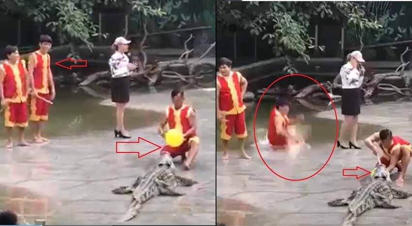 'Laughing out of jaw' with clips of people being scared by animals to the clouds