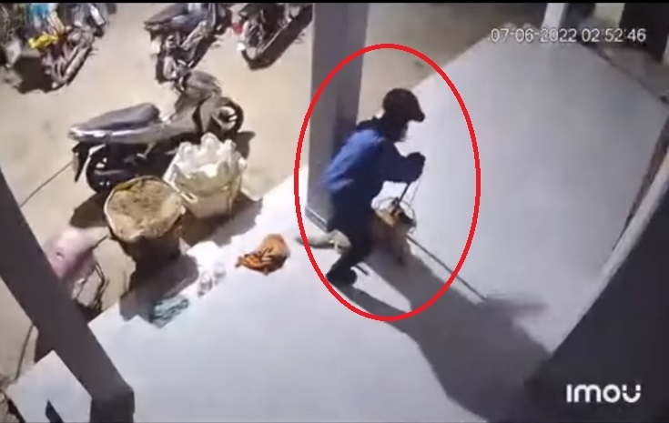Cận cảnh 'cẩu tặc' trộm chó trong 10 giây ‘không một động tác thừa’ khiến dân mạng phẫn nộ