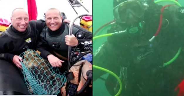 Phát hiện bí mật dưới đáy đại dương, thợ lặn phải giấu kín suốt 15 năm