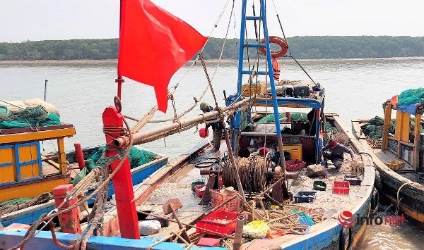 Nghệ An: Giá dầu cao kỷ lục, đánh bắt thua lỗ, hàng trăm tàu nợ quá hạn