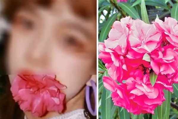 Ngậm hoa vào miệng để tạo dáng ‘sống ảo’, cô gái trẻ suýt mất mạng