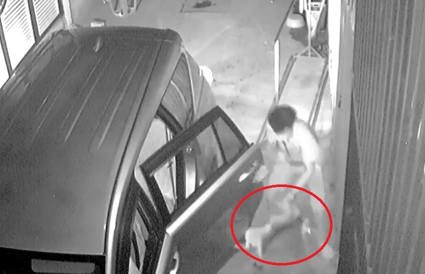 Clip: Cẩu tặc lái ô tô 7 chỗ trộm chó trong đêm không một giây thừa