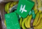 Lô cocaine hàng chục triệu euro ‘vô tình’ lọt vào siêu thị trong hộp chuối