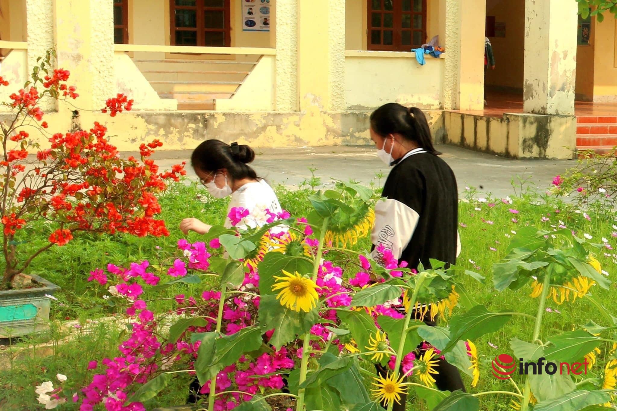 Hà Tĩnh có 1 ngôi trường gây bất ngờ với khuôn viên hoa lá rực rỡ như công viên