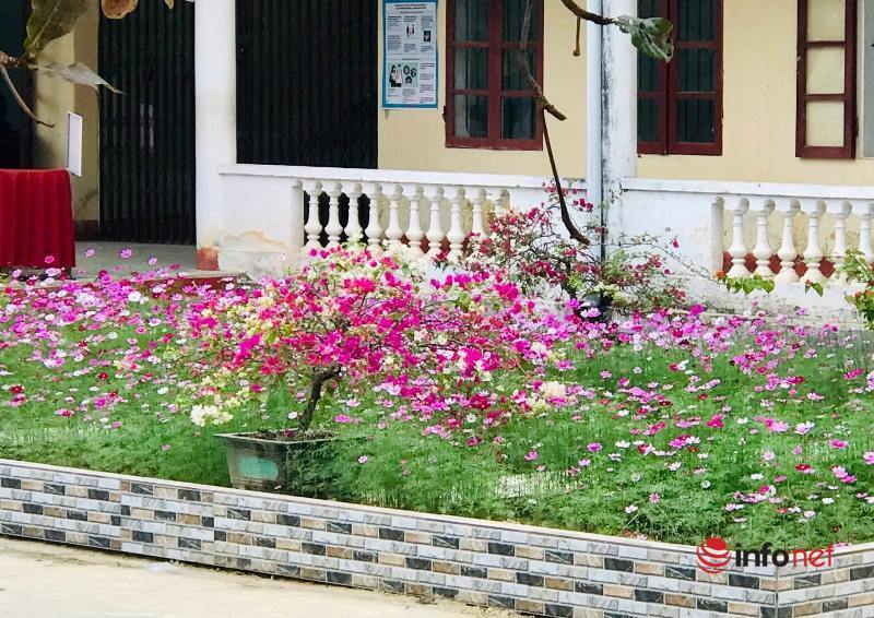 Hà Tĩnh có 1 ngôi trường gây bất ngờ với khuôn viên hoa lá rực rỡ như công viên