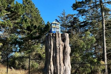 Bí ẩn ngôi nhà nhỏ bên trong công viên San Francisco